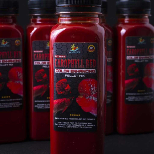 INTENSE CAROPHYLL LIQUID