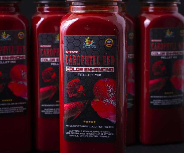 INTENSE CAROPHYLL LIQUID