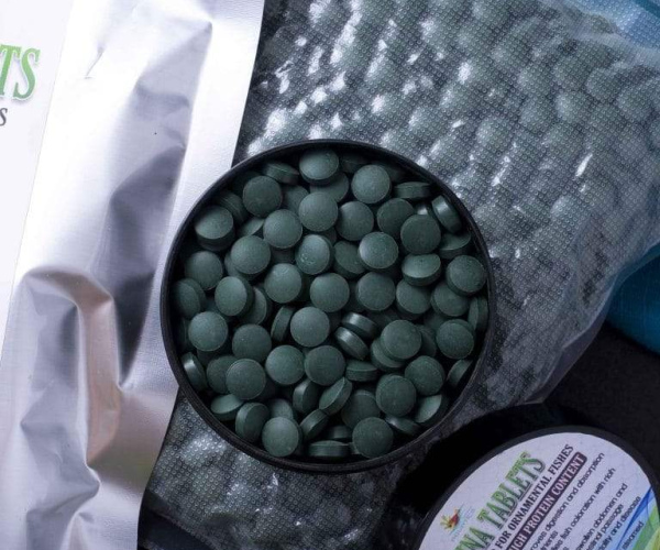 SPIRULINA TABLETS FISH COLOR ENHANCER