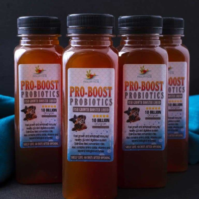 PRO-BOOST PROBIOTICS | Fish Growth Booster Liquid 250ml (25% High Concentration)