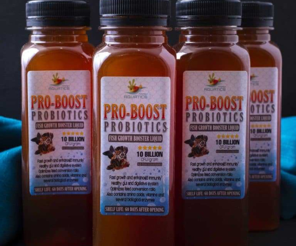 PRO-BOOST PROBIOTICS | Fish Growth Booster Liquid 250ml (25% High Concentration)